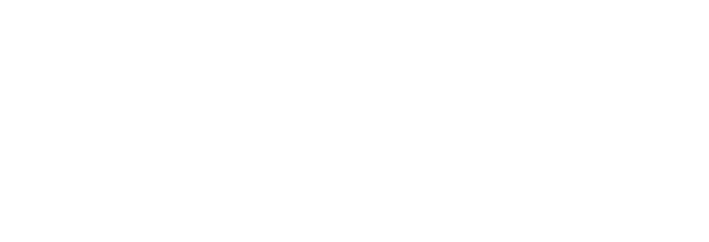 logo appie
